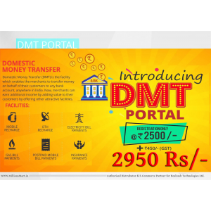 REALCASH INSTANT MONEY TRANSFER SERVICE